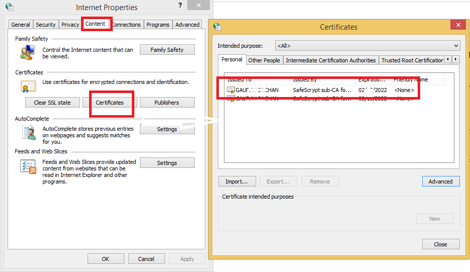 How to check Inserted DSC Certificate Details